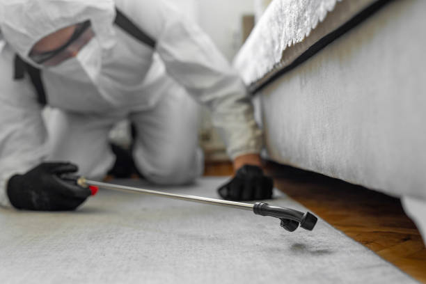Professional Termite Control technician working in Ocala Estates, FL