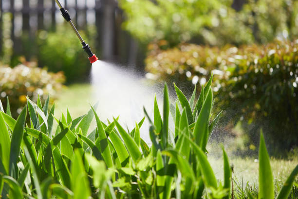24/7 Emergency Termite Control experts in Ocala Estates, FL